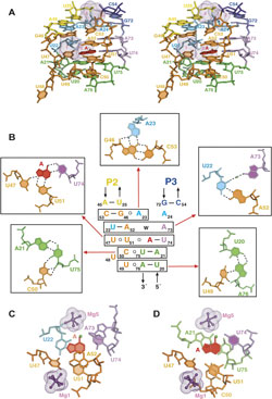 Details of protein interactions