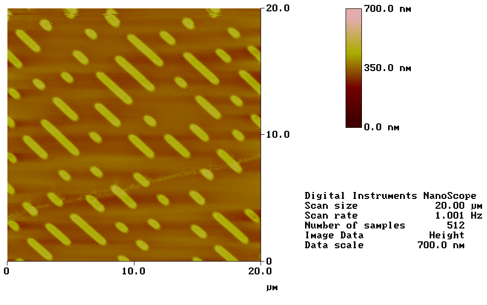 AFM image of the surface of a DVD